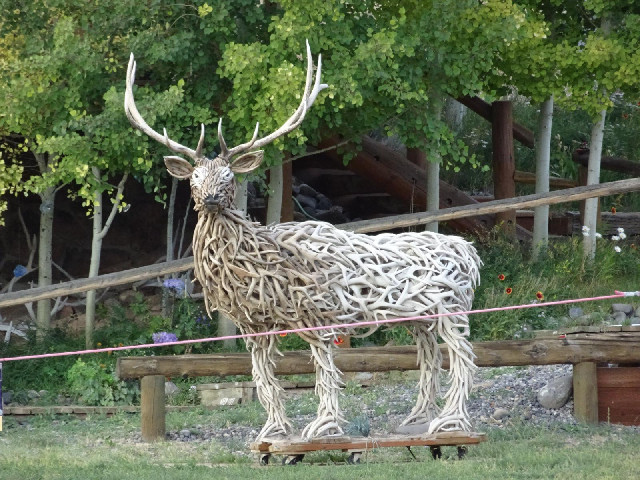 An entire deer made of antlers.