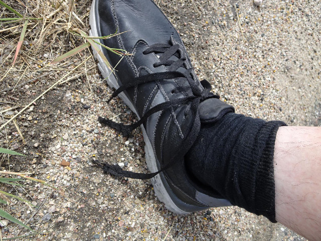 My shoelace must have just decided to hang a way it has never hung before. In three deft bites, my f...