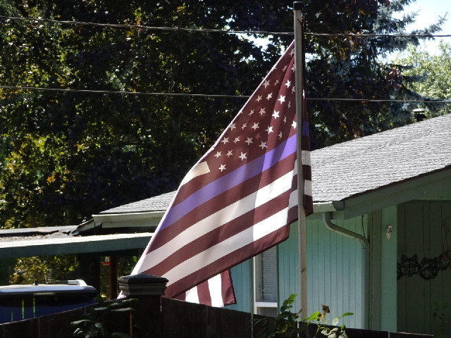 Two houses quite close to each other had flags like this. I haven't seen them anywhere else.