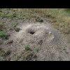 Prairie dog burrows. I just saw one scamper across the ground and disappear down one of these.