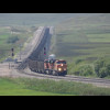 A train. It doesn't look like it from this angle but they have about 140 wagons each. This afternoon...