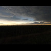 It's gone very still and quiet. There's no bird noise. There isn't even any wind, although that coul...