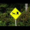I saw a few of these signs today, even on the main road, but never saw anything being pulled by a ho...