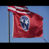 I always think the flag of Tennessee looks like a bowling ball. I didn't actually realise I had chan...