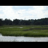 A swamp, a spire and a plane coming into Charleston Airport, where I will be on Sunday.