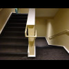 The stairs in last night's hotel were strange. The bottom half a flight were carpeted and dominated ...