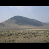 A patch of trees on a hill.