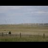The wind farm.
