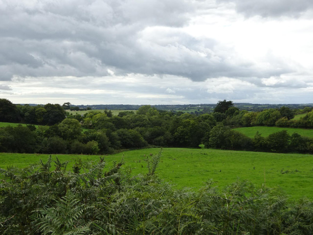 Green scenery.