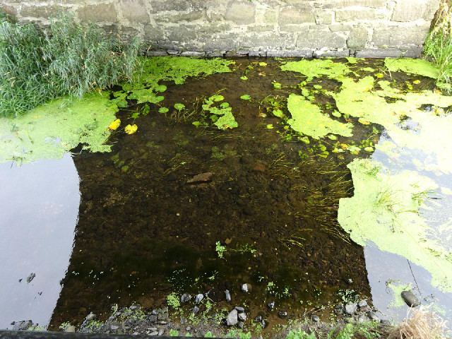 The bottom of the shallow water, visible under a bridge away from the reflection of the sky.