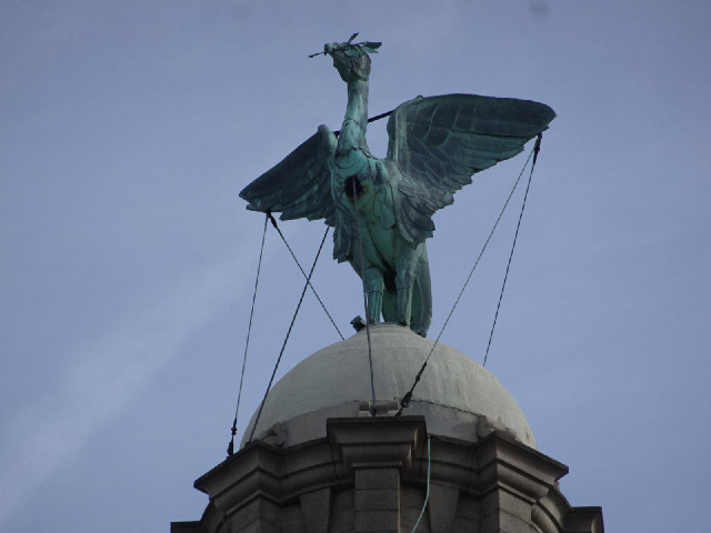 One of the Liver Birds.