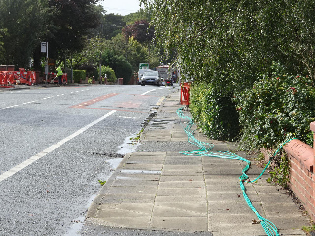 These green cables are being installed along the road leading into Bury. The bundle thins out as two...