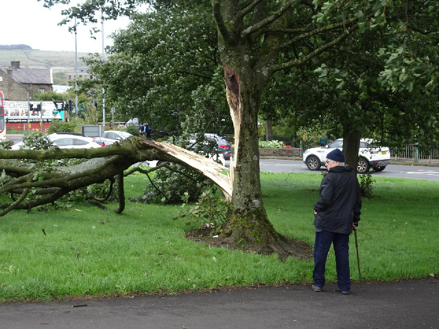 That has probably happened today. It has fallen in the direction of today's wind.