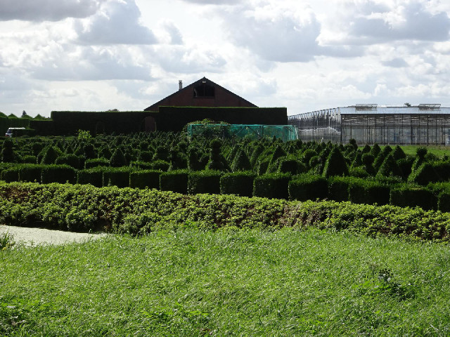 A topiary nursery. At the moment, I'm retracing part of my route from 2010 but there are a lot of th...