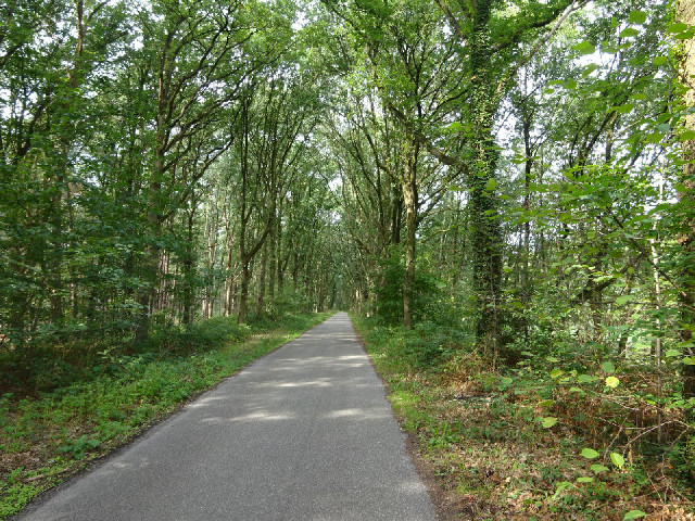 The path towards Eindhoven.
