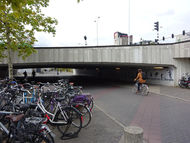 A very low bridge. The Dutch are apparently the tallest nationality in the world and they almost nev...