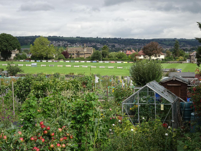 Some allotments, a cricket pitch and a big house.