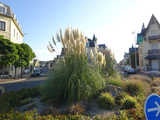 The centre of Deauville is designed a bit like Paris, with long straight avenues.