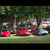 A classic car festival. An eclectic collection of shiny old cars passed me on the way out of Maastri...