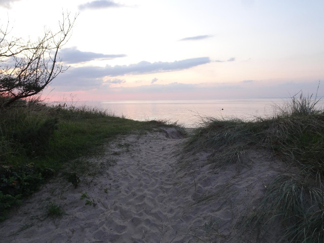 A small path to the beach.