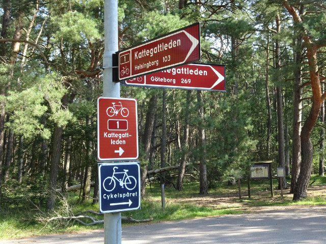 I've found a designated cycle route going from Helsingborg to Gothenburg but it obviously doesn't go...