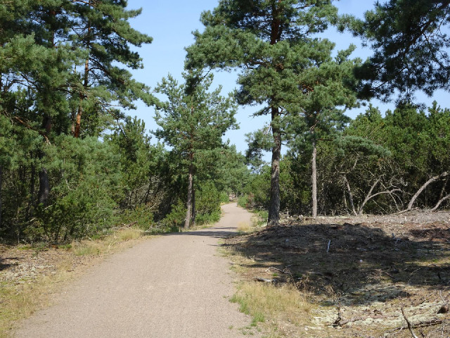 The cycle route.