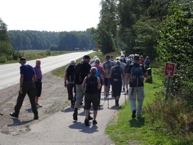 A large group of walkers who emerged from a field as I was approaching.