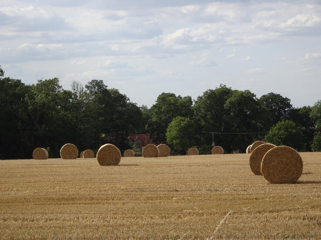 Newly baled hay.