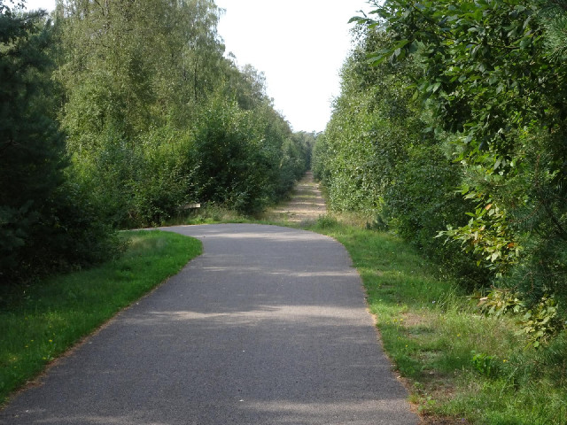 The path temporarily leaves the old railway.