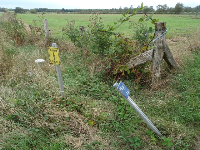 Markers for an electric cable and a water pipe.