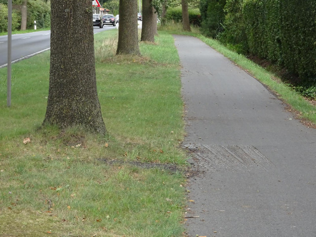 I encoutered this a few times today. It looks like where a tree root has pushed up the tarmac on a c...