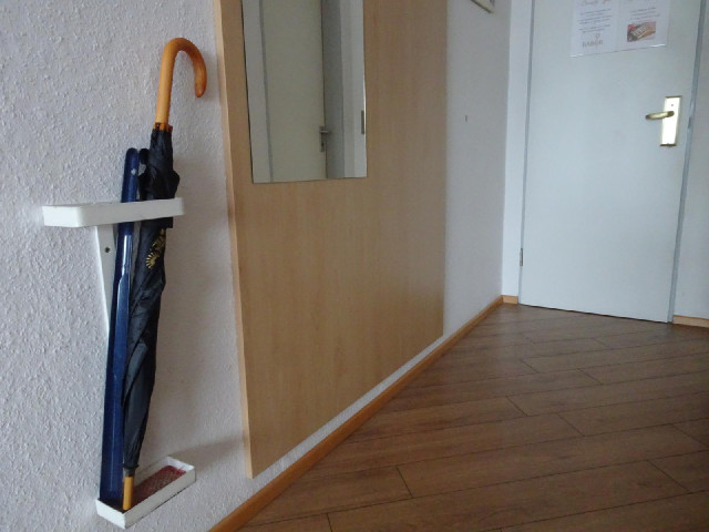 My hotel in Sittensen two nights ago had a shoe horn. This place has a shoe horn and an umbrella. Th...
