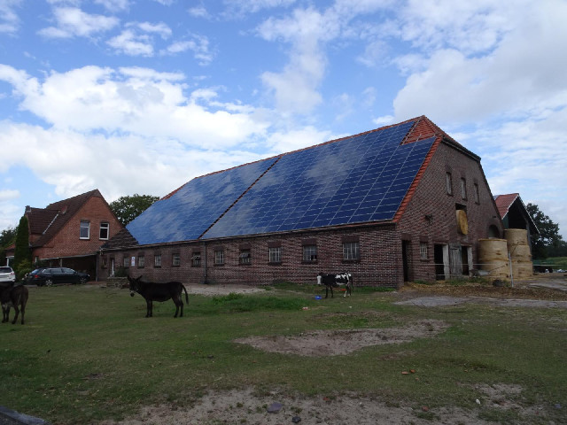 Donkeys, hay and a lot of solar panels.