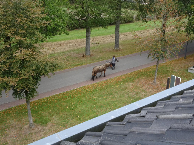 Somebody walking two horses past the building.