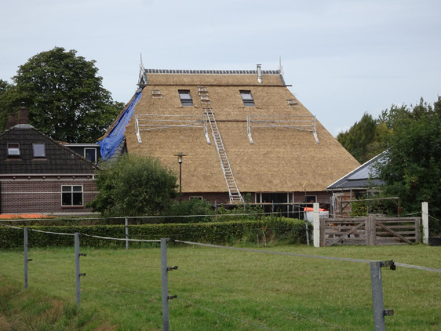 Thatching. Yesterday, I passed a modern house with a couple of bay windows and quite a complicated r...