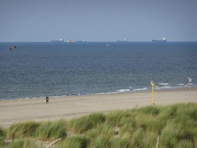 Another part of the beach.