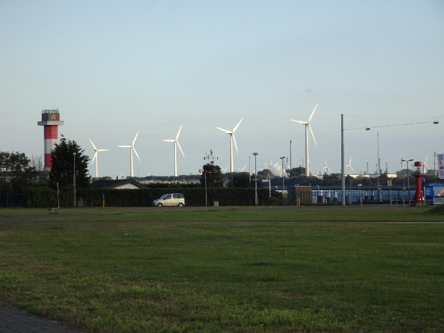 Wind turbines catching the evening sunlight.