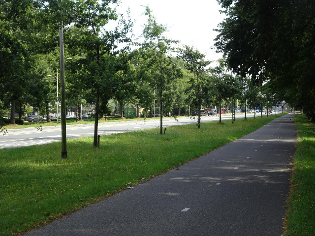 The cycle lane on a major road.