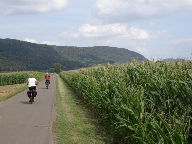 The Weser bike route is pretty popular.