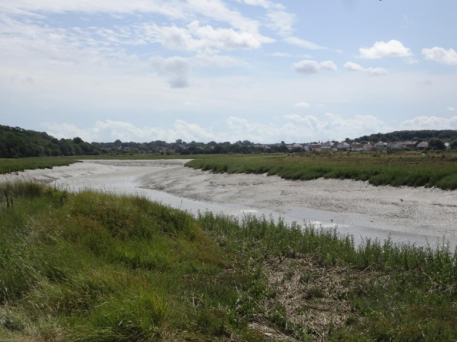 The River Colne and the village of Rowhedge.