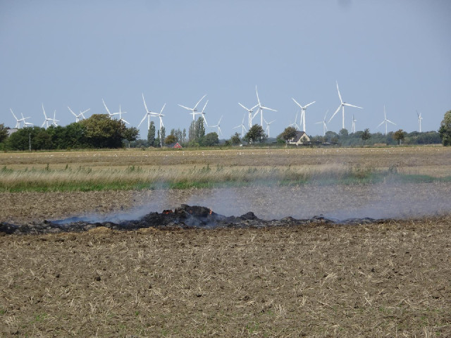 Smouldering remains in a recently-harvested field.