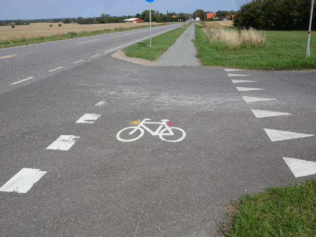 A lot of the bike symbols on the roads look like this. I hope it doesn't mean that I'm meant to have...