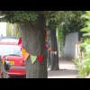 The next road has yarnbombing on all the trees...