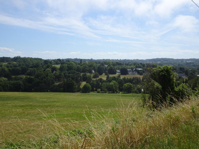 A picture which I took while walking up a steep hill....