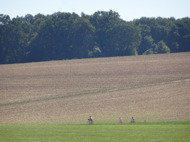 The rest of the group.