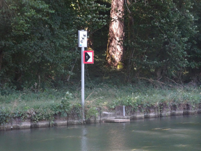 The canal runs through wooded areas and periodically has little steps like these so that animals whi...