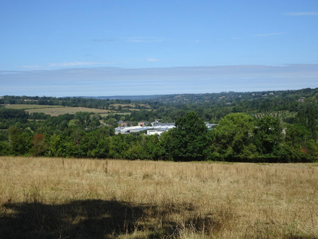 A view from near the top of the hill.