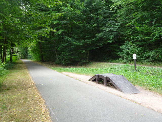 For the first 20 km today, I will be following this old railway line. It has a lot of little activit...
