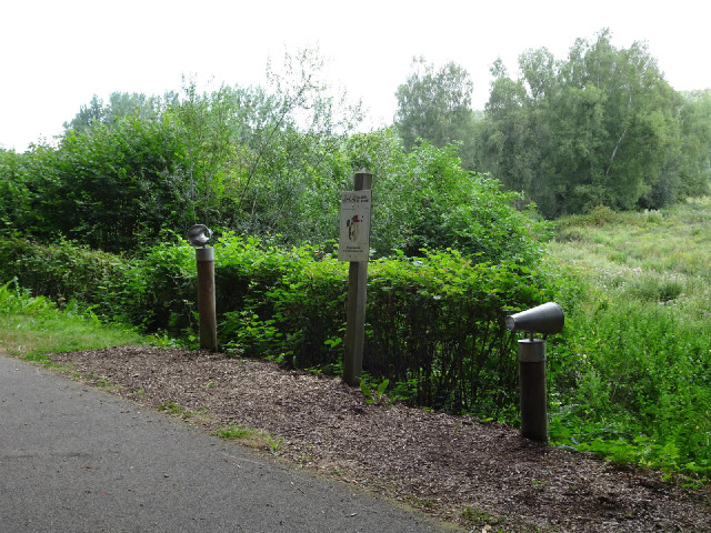 ... and these cones for listening to the sounds of the forest.