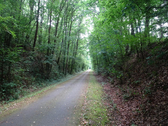 This railway has a constant uphill gradient of about 1 in 200. It doesn't sound like much but I can ...